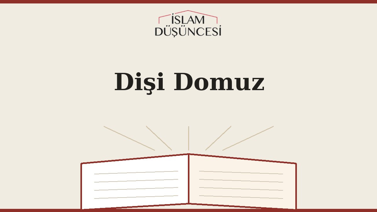 Dişi Domuz