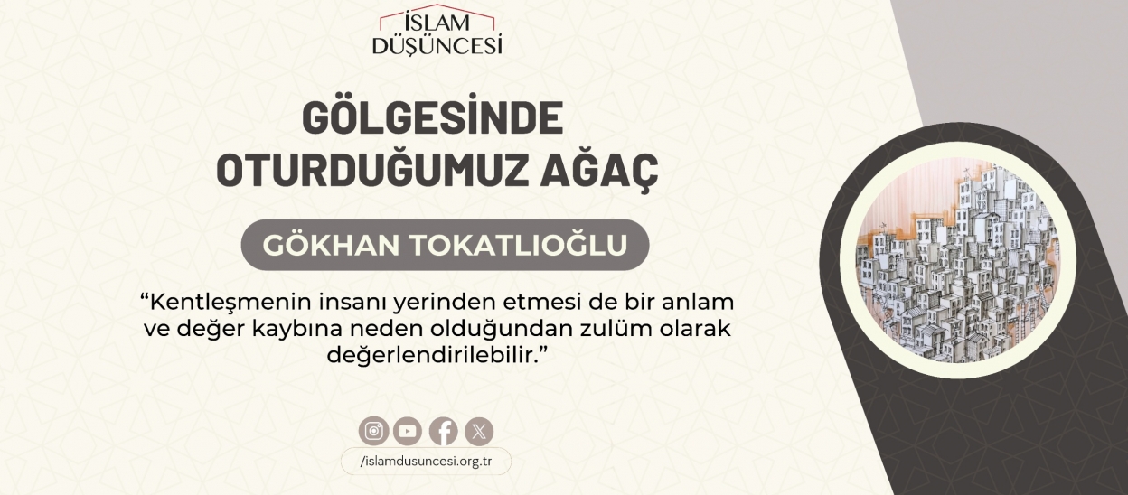 Gölgesinde Oturduğumuz Ağaç