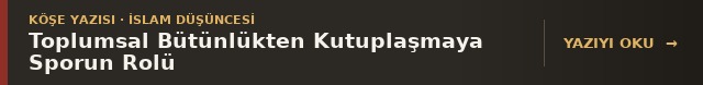 Toplumsal Butunlukten Kutuplasmaya Sporun Rolu